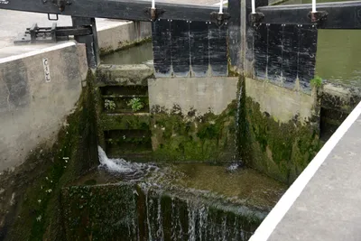 DSC_2718 (Large).JPG